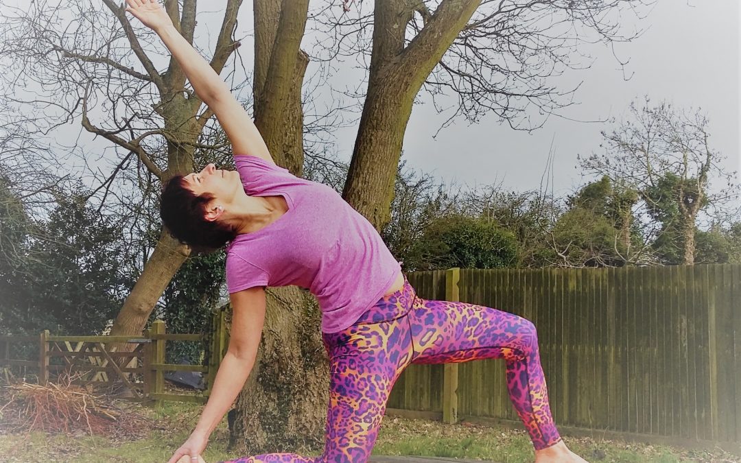Fascia and Movement